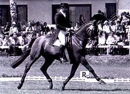 Dr. Reiner Klimke und der Hannoveraner Mehmed: Weltmeister 1974 in Kopenhagen · Copyright wie angegeben